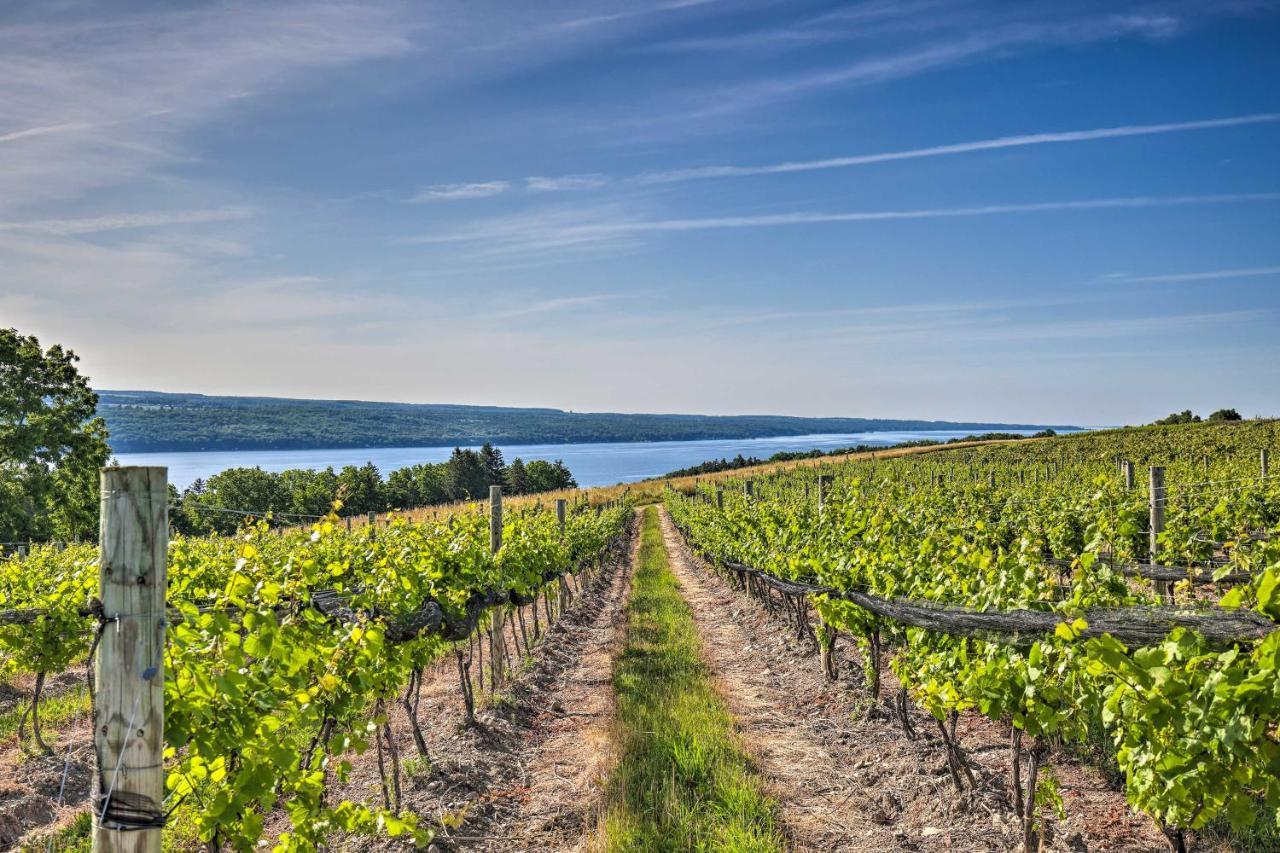 Finger Lakes Farm Retreat Walk To Wineries! Hector Esterno foto