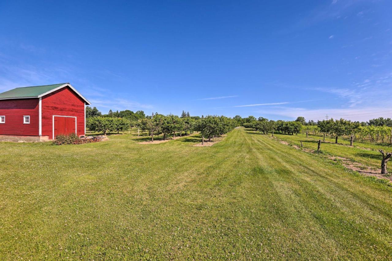 Finger Lakes Farm Retreat Walk To Wineries! Hector Esterno foto