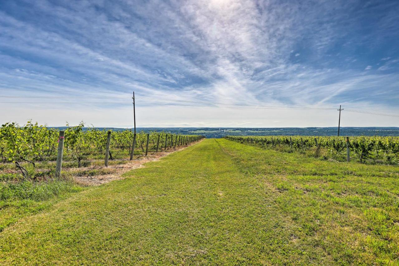 Finger Lakes Farm Retreat Walk To Wineries! Hector Esterno foto